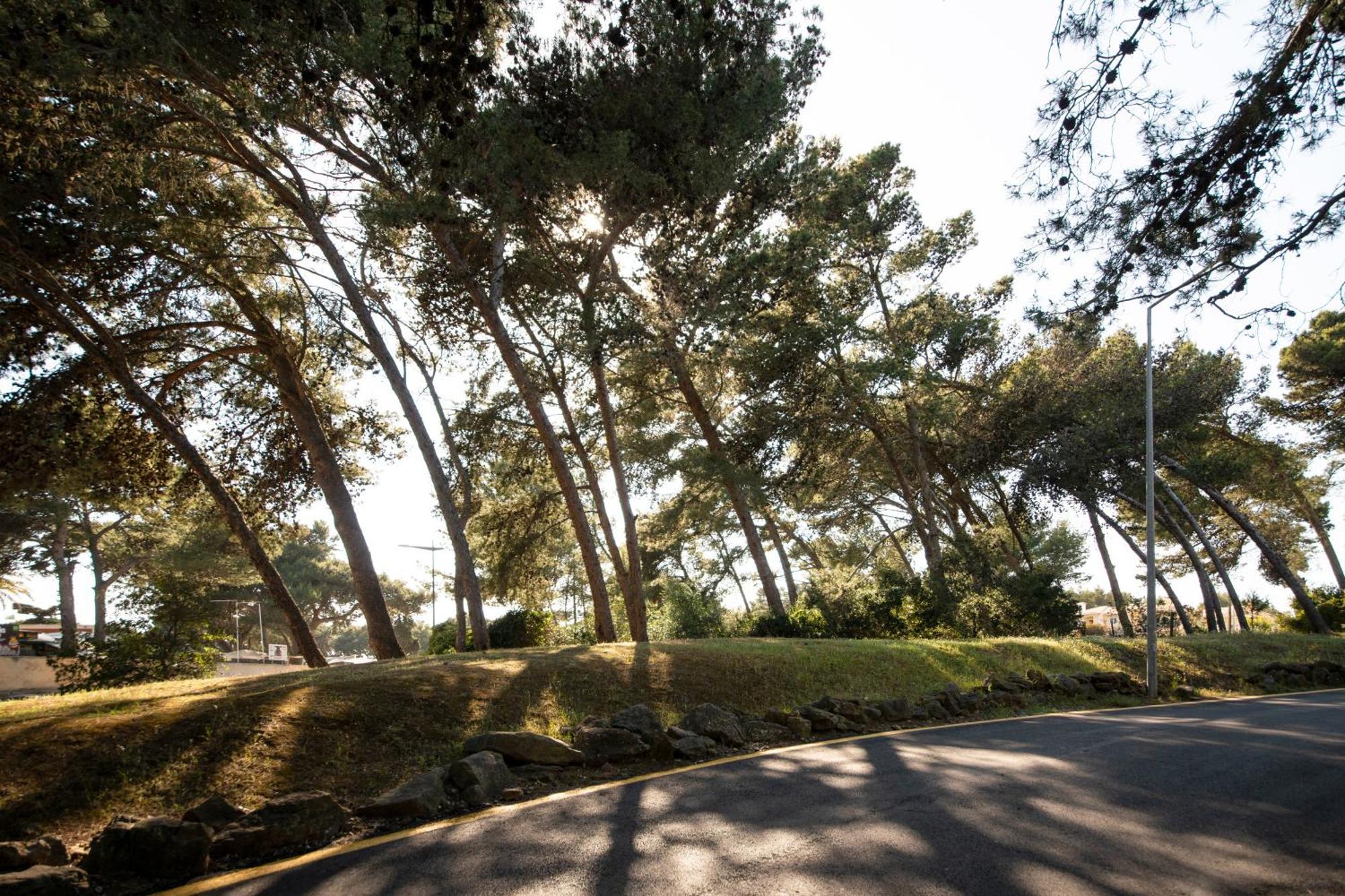 Acqua De Cascais Leilighet Eksteriør bilde